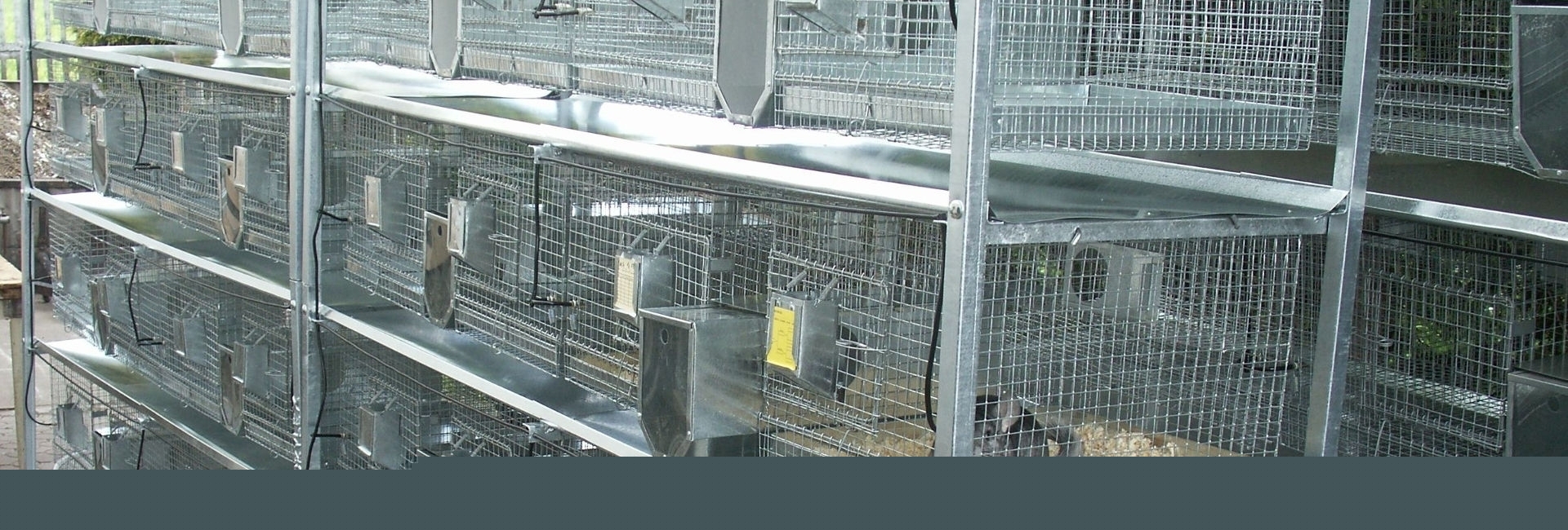 SZYLEX ჩინჩილას მოშენება საკვების ნარევები ჩინჩილას გალიები პოლონეთში 03