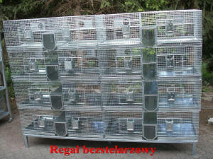 SZYLEX ჩინჩილას მოშენება საკვების ნარევები ჩინჩილას გალიები პოლონეთში 07