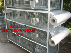 SZYLEX ჩინჩილას მოშენება საკვების ნარევები ჩინჩილას გალიები პოლონეთში 09