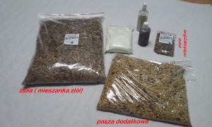 SZYLEX ჩინჩილას მოშენება საკვების ნარევები ჩინჩილას გალიები პოლონეთში 11